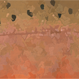 2024 Catch Cam Net Handles