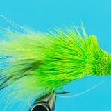 Dahlberg Diver