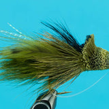 Dahlberg Diver
