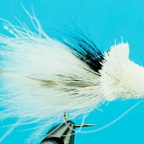 Dahlberg Diver