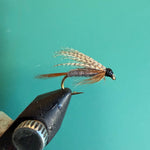 Wet fly fishing lure with brown feather wing and dark metal hook