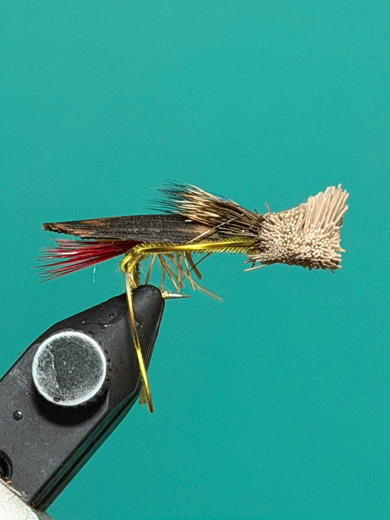 Weighted black fishing fly with metallic wing and red accent feathers