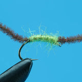 Dirty Worm
