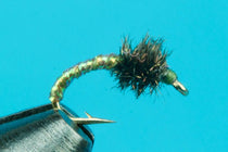 Midge fishing fly with gold ribbed body and olive green fuzzy wing