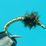 Disco Midge