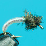 Disco Midge