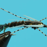 Double Bead Peacock Stonefly