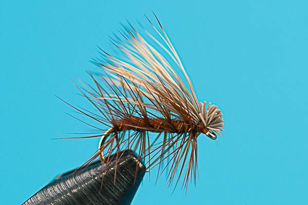 Elk Hair Caddis - Dry Fly