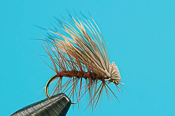 Elk Hair Caddis - Dry Fly