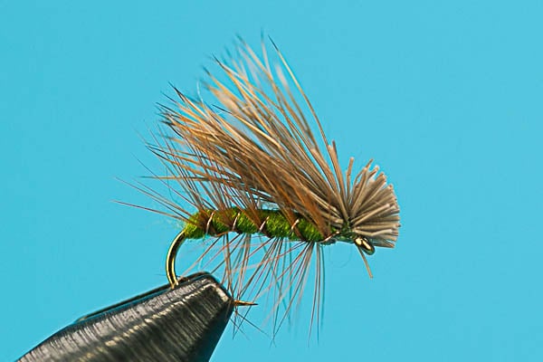 Elk Hair Caddis - Dry Fly