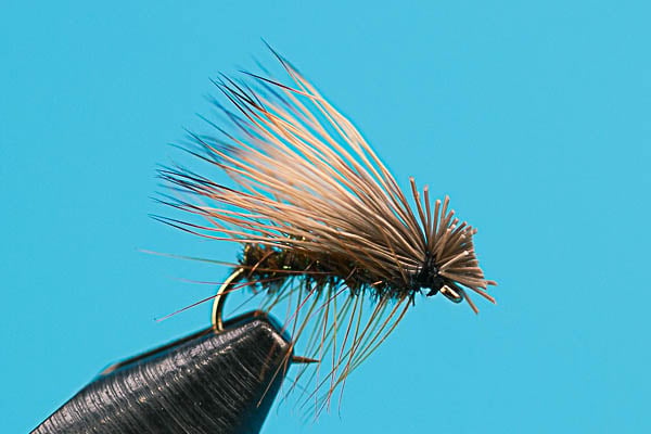 Elk Hair Caddis - Dry Fly