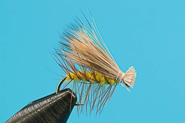 Elk Hair Caddis - Dry Fly
