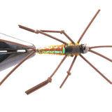FB Stone Fly