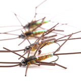 FB Stone Fly