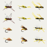 Golden Stones & Sallys Assortment