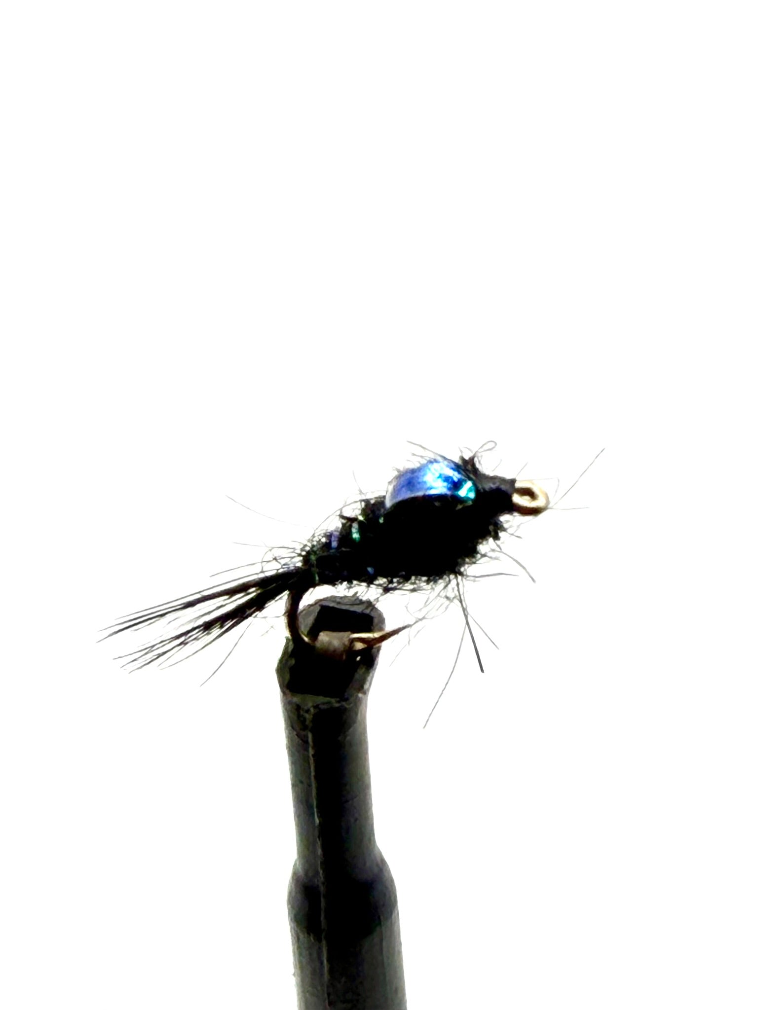 Black fly nymph lure with blue wing accent and barbed hook, close-up