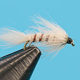 Flymph Light Cahill