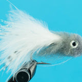 Fuzzabou Shad