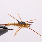 Golden Thug Stone Fly