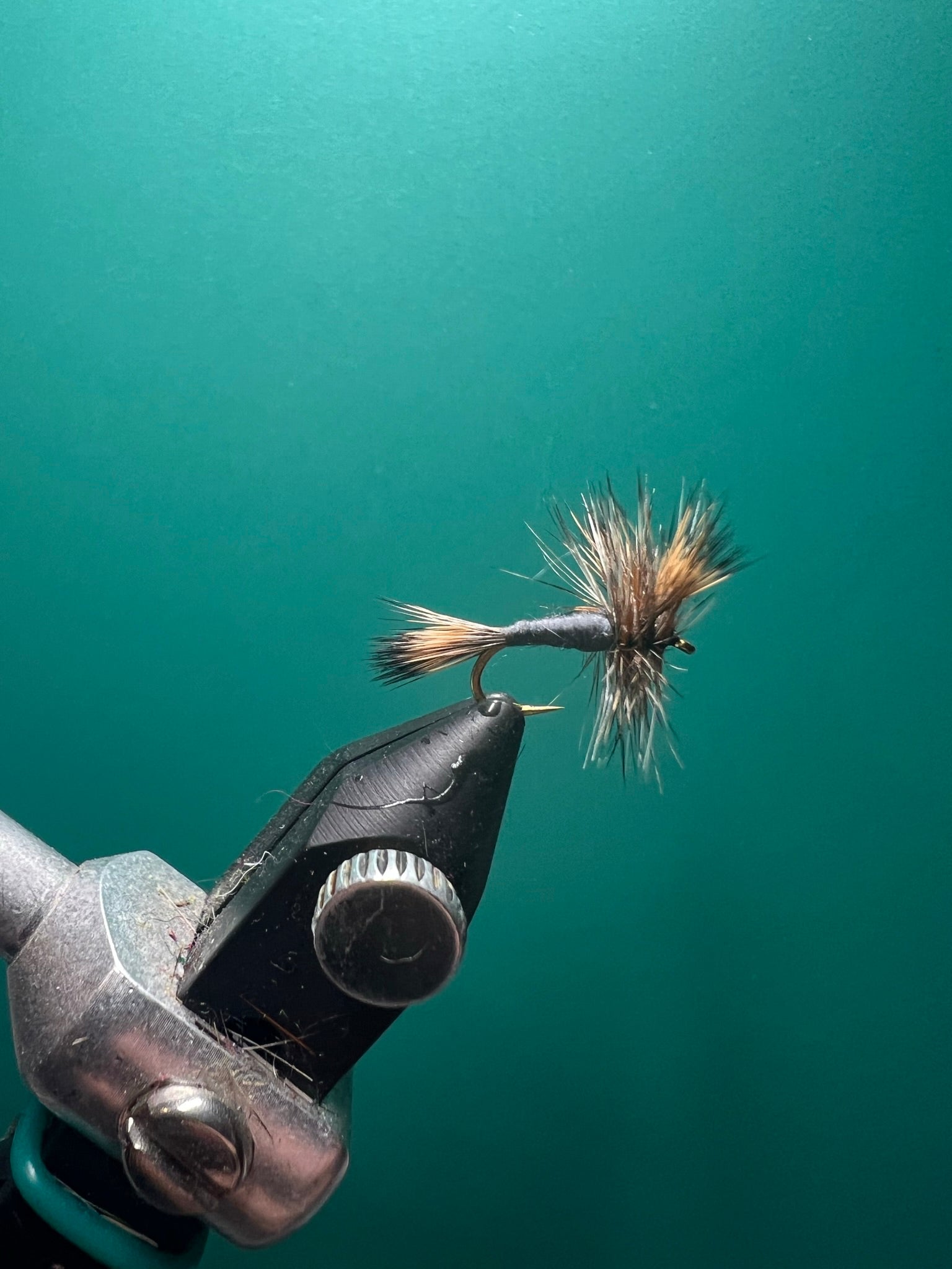 Wulff fly fishing lure with tan-and-black fibers and black hook, close-up