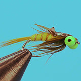 Green Eyed Damsel Nymph