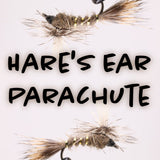 Hare’s Ear Parachute
