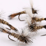 Hare’s Ear Parachute