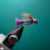 Hares Ear Purple