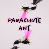 Hi-Viz Ant