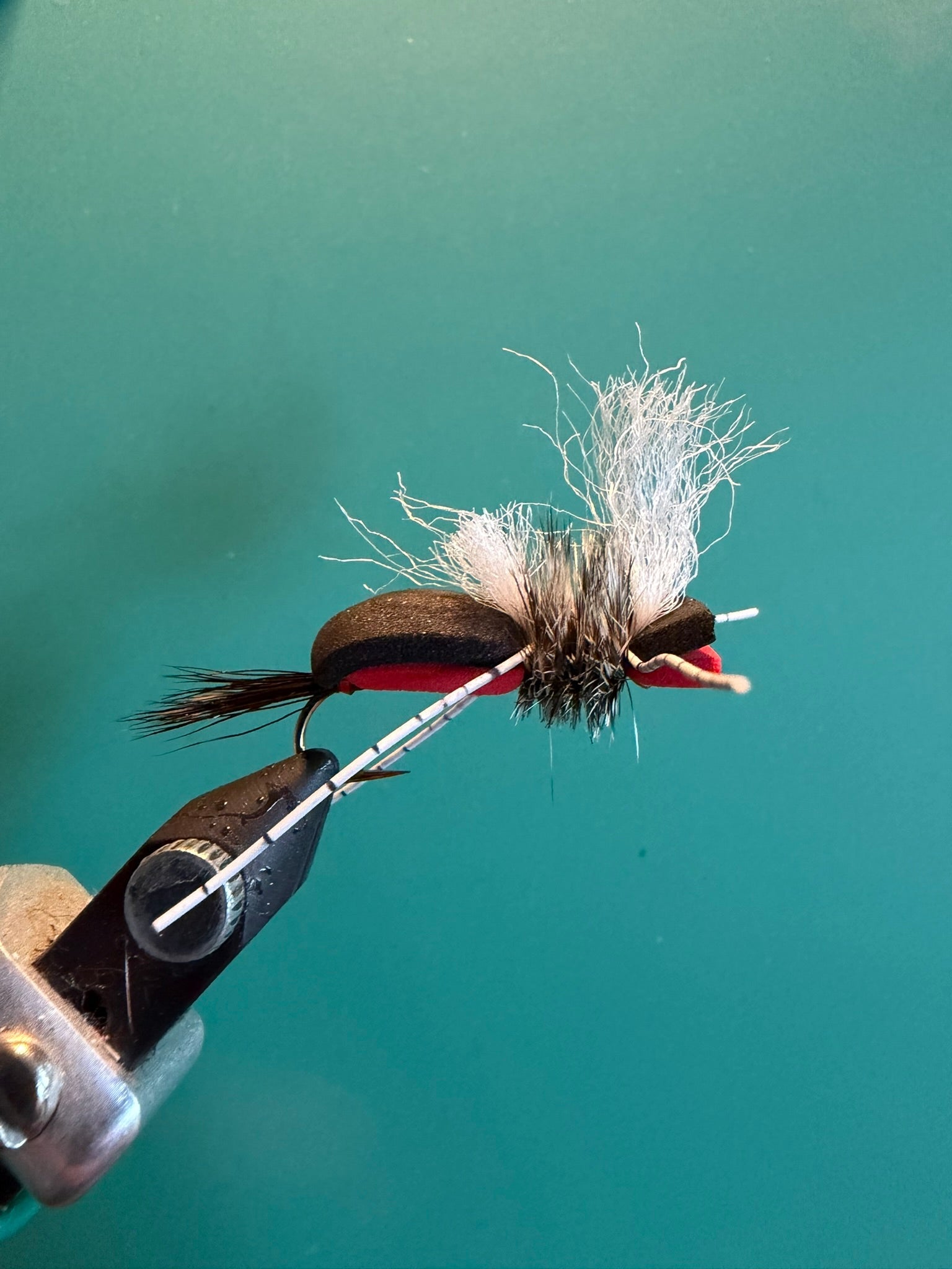 Feather streamer fly with marabou tail and red thread wrap, barbed hook
