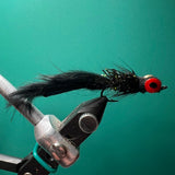 Hot Shot Leech - Black