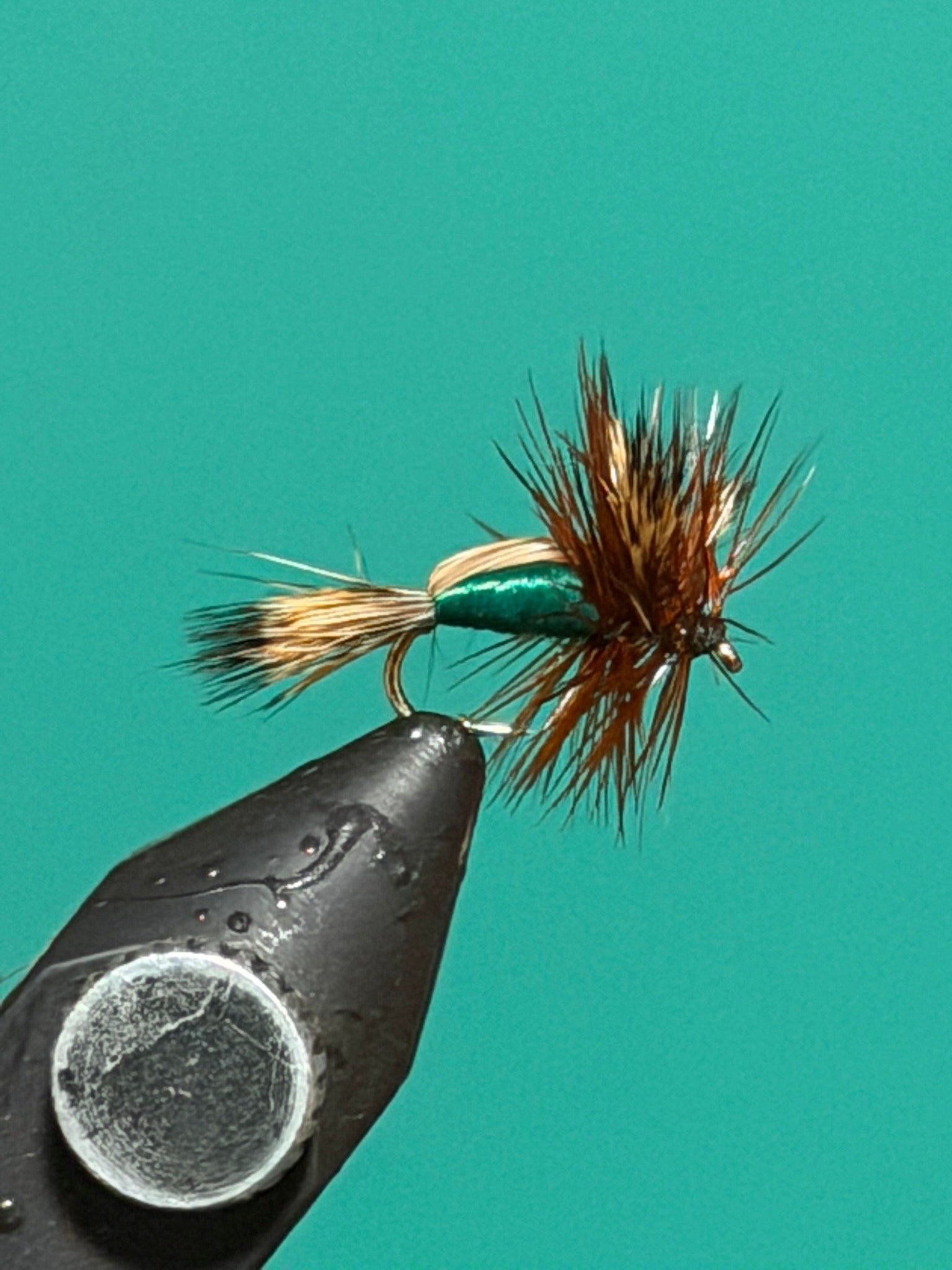 Dry fly fishing lure with green foam body and brown feather hackle on an eye hook