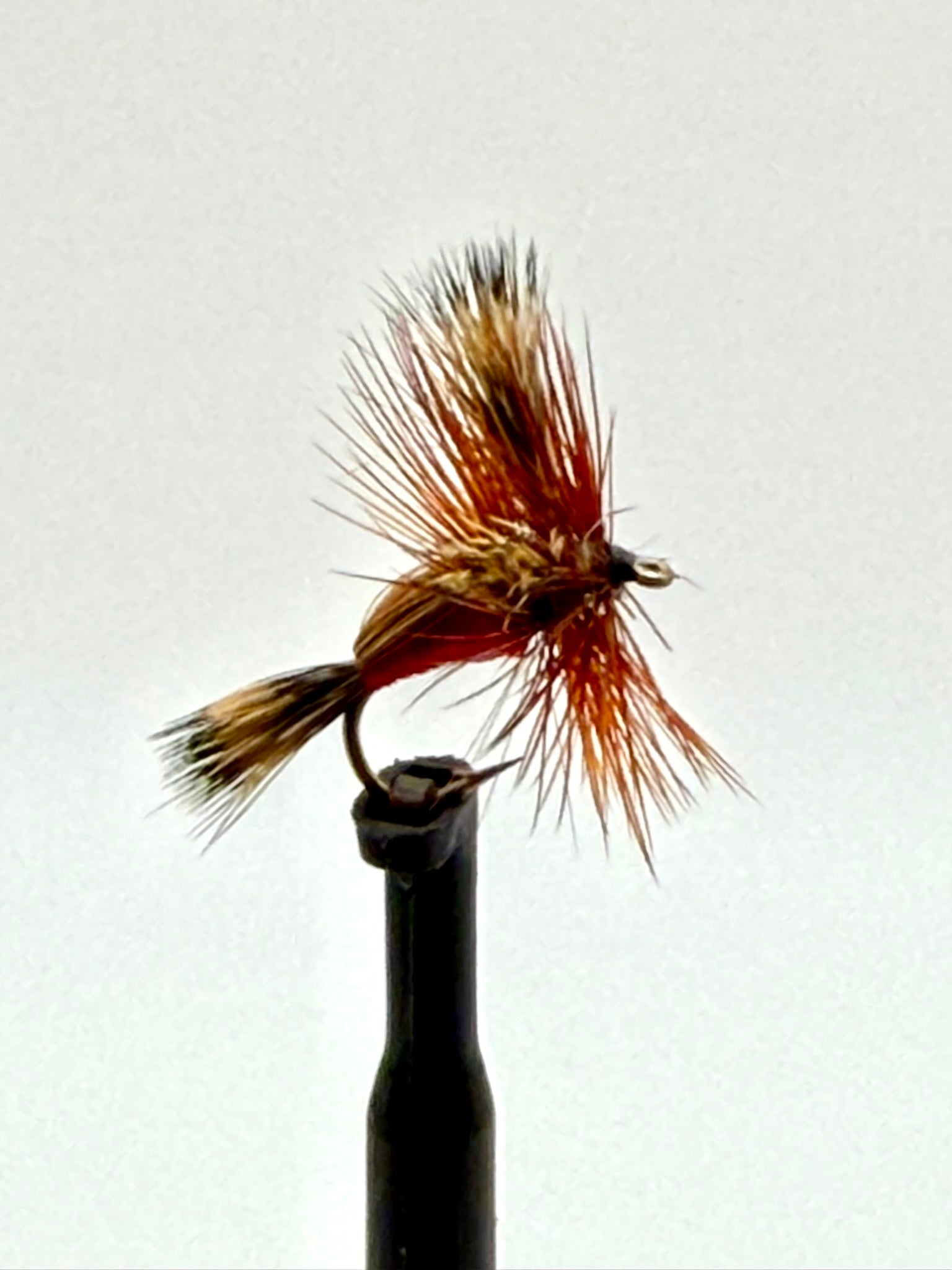 Dry fly fishing lure with red foam body and brown feather hackle on an eye hook