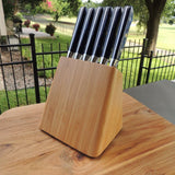 6 PCS Steak Knives Set