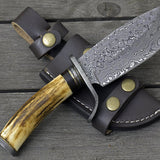 Antler Horn Hunting Knife