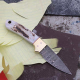 Custom Handmade California Coyote Cowboy Knife | Damascus Blade | Antler Horn-Brass Bolster Handle | 6.25 Inches | Leather Sheath | KBS Knives Store