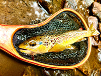 Small landing net holding a speckled trout in dark green mesh