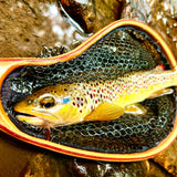 Blue Line Net - Small