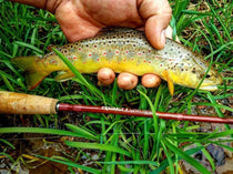 Genesis fly rod with red shaft, cork handle, and metal line guides in grass
