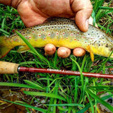 Genesis Fly Rod