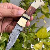 Custom Handmade Damascus Steel Small Folding Pocket Knife with Bone, Rosewood, and Brass Bolsters Handle