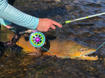 Goliath fly rod and reel combo with rainbow spoked reel and neon green line
