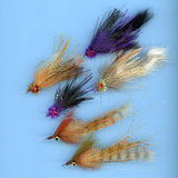 Backcountry Assortment