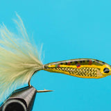 Janssen's Minnow--Brook trout