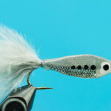 Janssen's Minnow--Shad