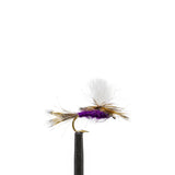 JHFLYCO Loaded Foam Fly Box - Standard Dry Fly Assortment