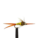 JHFLYCO Loaded Foam Fly Box – Standard Nymph Assortment