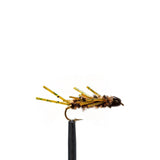 JHFLYCO Loaded Foam Fly Box – Standard Nymph Assortment