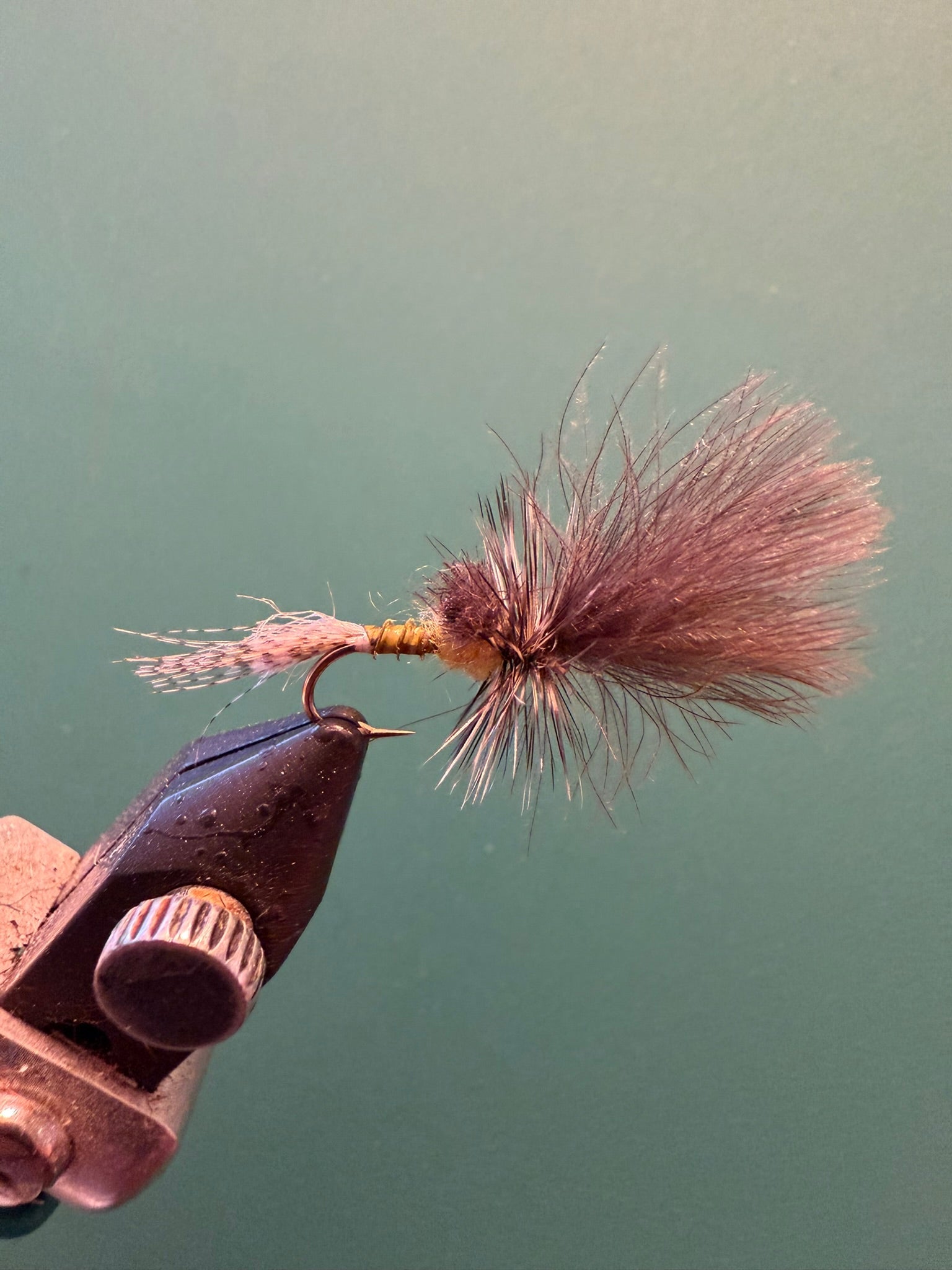 Fishing fly lure on bronze hook with coral-pink hair wing