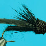 Letort Cricket